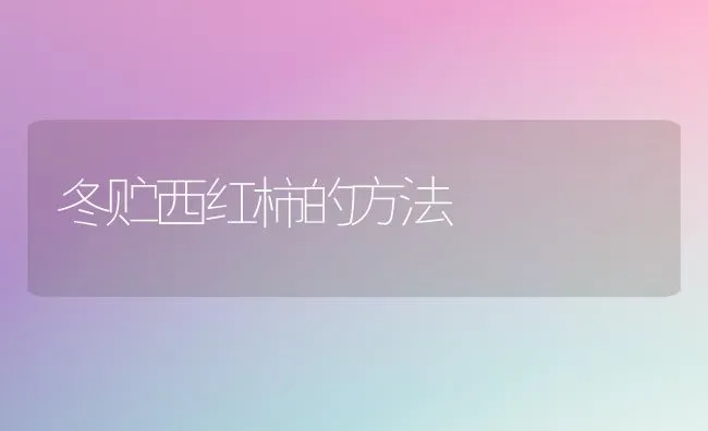 冬贮西红柿的方法 | 蔬菜种植