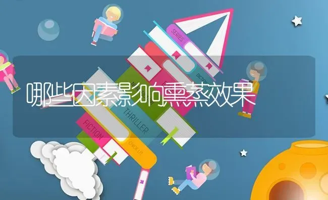 哪些因素影响熏蒸效果 | 瓜果种植