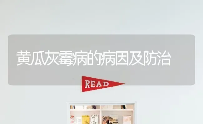 黄瓜灰霉病的病因及防治 | 蔬菜种植