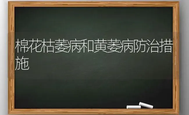 棉花枯萎病和黄萎病防治措施 | 粮油作物种植