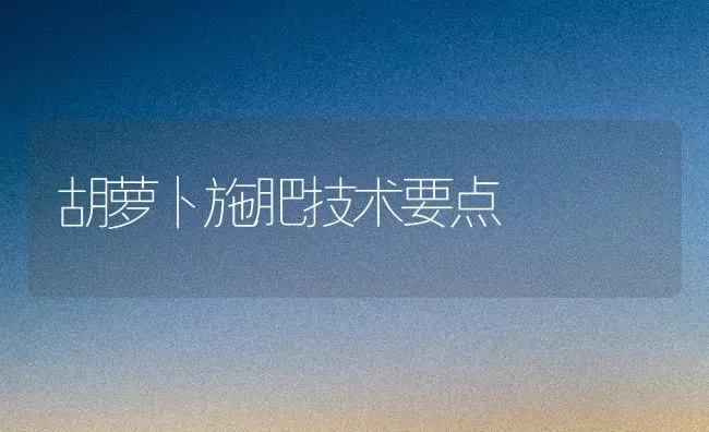 胡萝卜施肥技术要点 | 种植肥料施肥