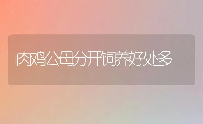 蔬菜大棚巧防热害 | 蔬菜种植