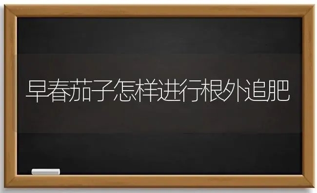 早春茄子怎样进行根外追肥 | 蔬菜种植