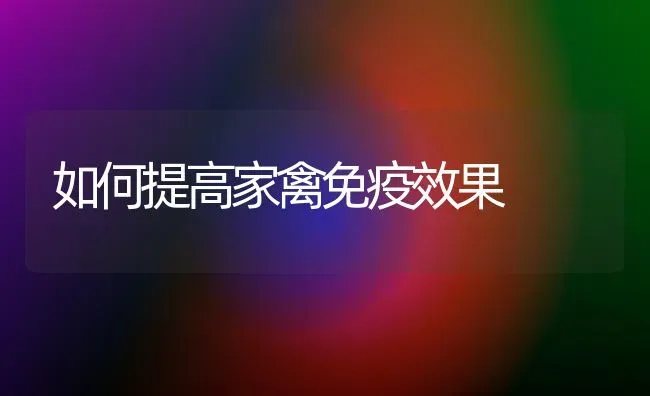 如何提高家禽免疫效果 | 瓜果种植