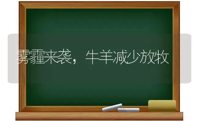 套袋苹果红黑点病咋防治，科学的方法告诉你 | 瓜果种植