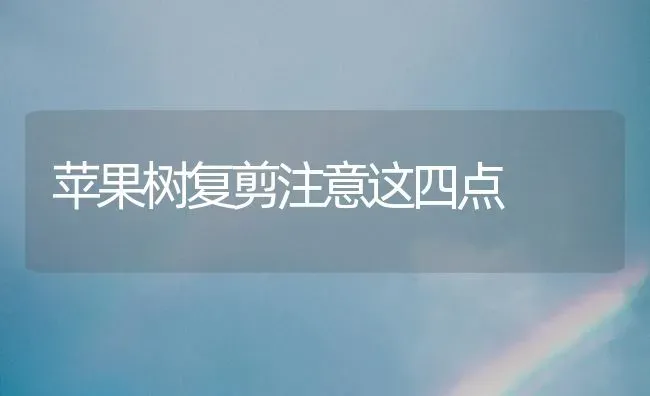 苹果树复剪注意这四点 | 瓜果种植