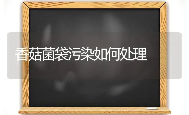 香菇菌袋污染如何处理 | 食用菌种植