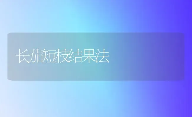 长茄短枝结果法 | 瓜果种植