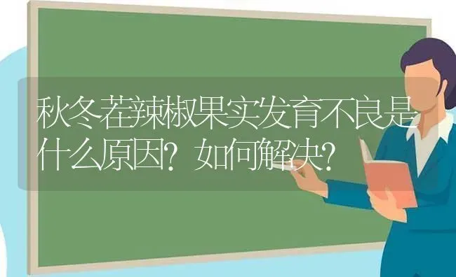 秋冬茬辣椒果实发育不良是什么原因？如何解决？ | 瓜果种植