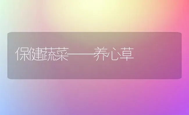 保健蔬菜——养心草 | 蔬菜种植