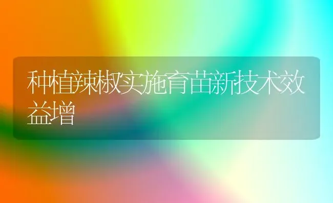 种植辣椒实施育苗新技术效益增 | 植物种植百科