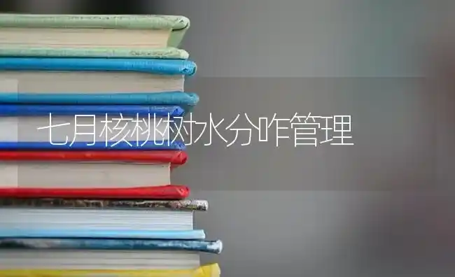 七月核桃树水分咋管理 | 瓜果种植