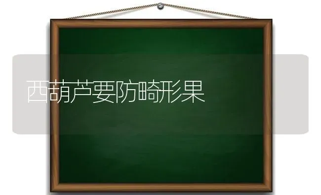 西葫芦要防畸形果 | 瓜果种植