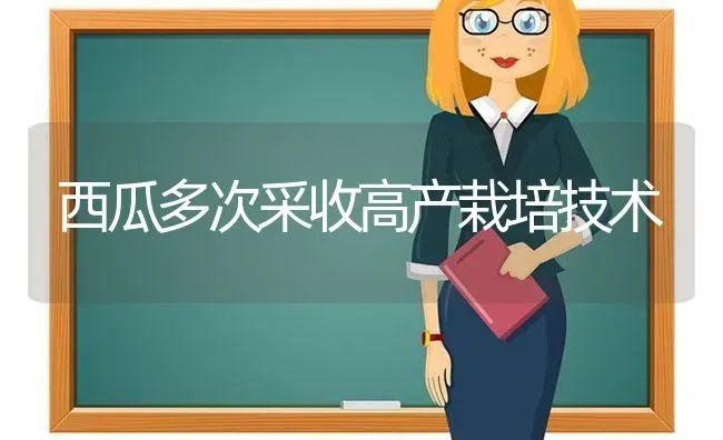 西瓜多次采收高产栽培技术 | 瓜果种植