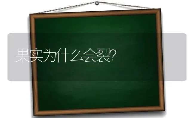 果实为什么会裂？ | 瓜果种植