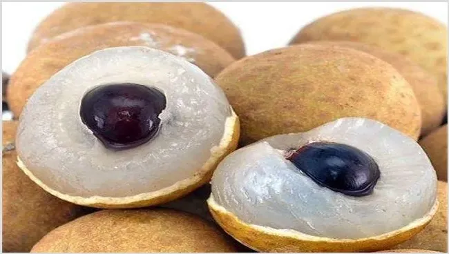 龙眼种植技术与管理技巧 | 自然知识