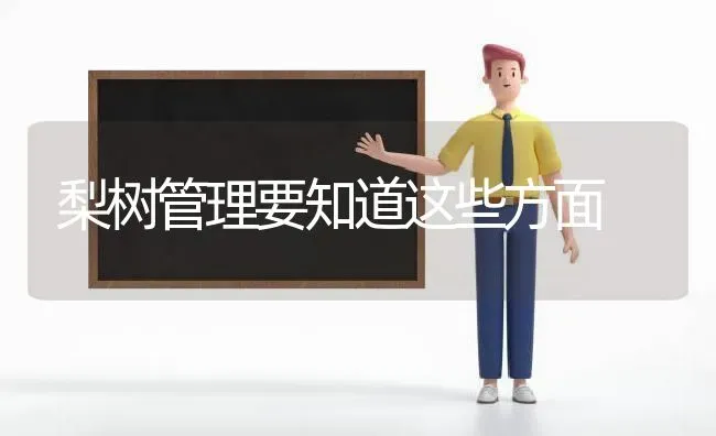 梨树管理要知道这些方面 | 瓜果种植