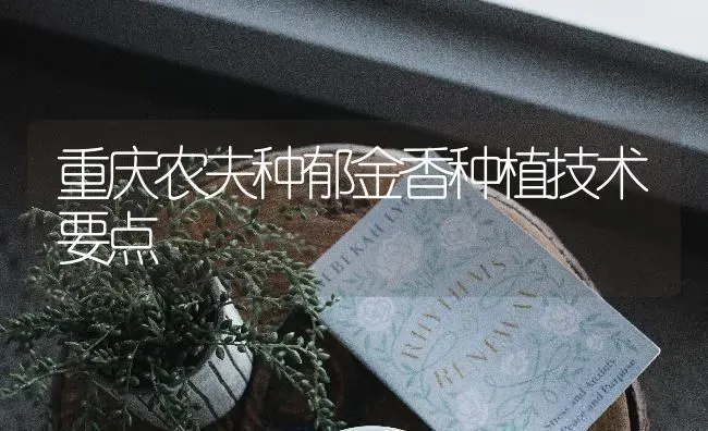 重庆农夫种郁金香种植技术要点 | 植物种植百科
