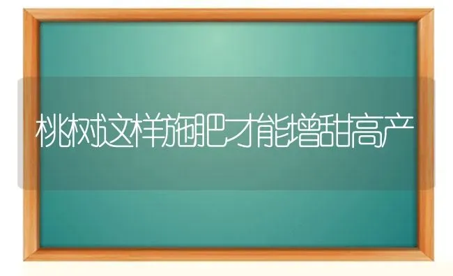 桃树这样施肥才能增甜高产 | 种植肥料施肥