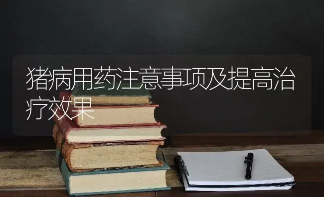 猪病用药注意事项及提高治疗效果 | 瓜果种植