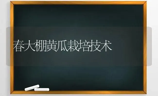 春大棚黄瓜栽培技术 | 蔬菜种植