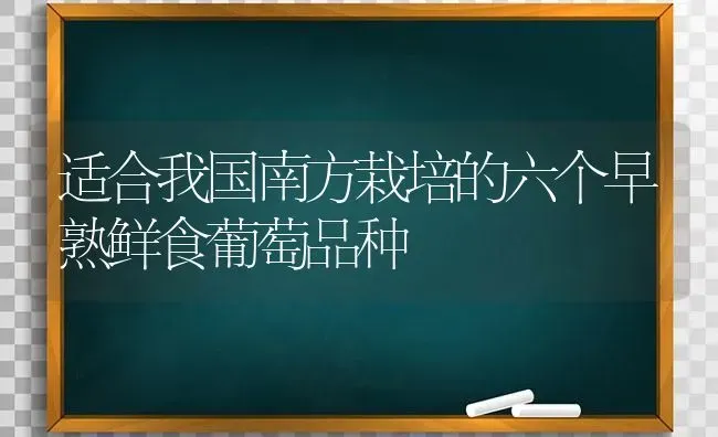 适合我国南方栽培的六个早熟鲜食葡萄品种 | 瓜果种植