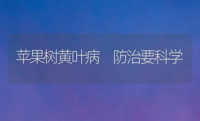 苹果树黄叶病 防治要科学 | 瓜果种植