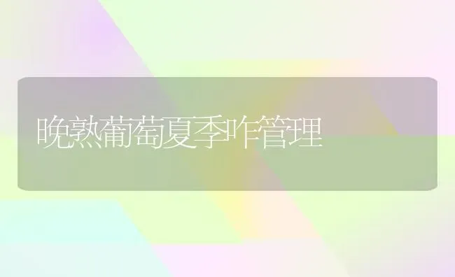 晚熟葡萄夏季咋管理 | 瓜果种植