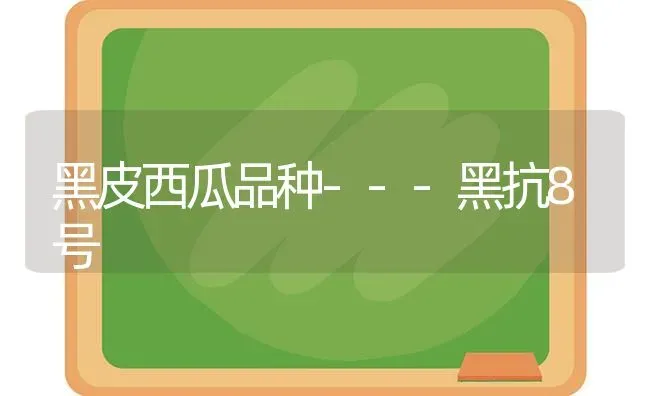 黑皮西瓜品种---黑抗8号 | 瓜果种植