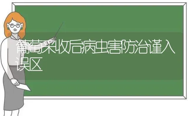 葡萄采收后病虫害防治谨入误区 | 种植病虫害防治