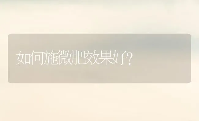 如何施微肥效果好？ | 瓜果种植