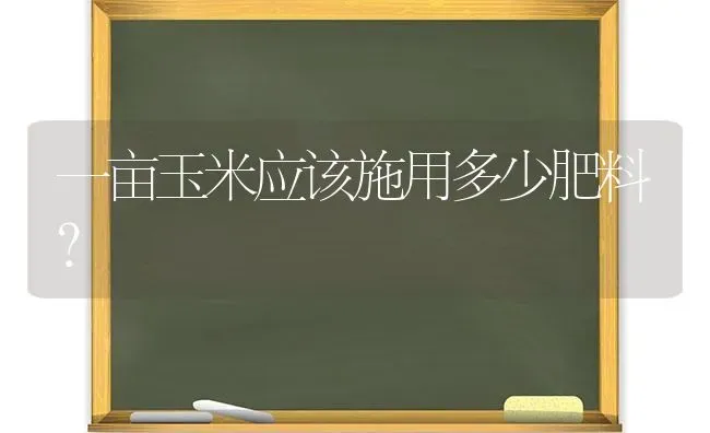 一亩玉米应该施用多少肥料？ | 种植肥料施肥