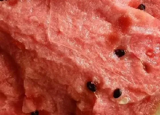 食用科普|西瓜水果是热性还是凉性