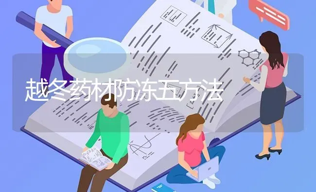 越冬药材防冻五方法 | 药材种植