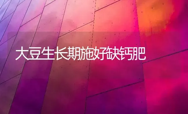 大豆生长期施好缺钙肥 | 粮油作物种植