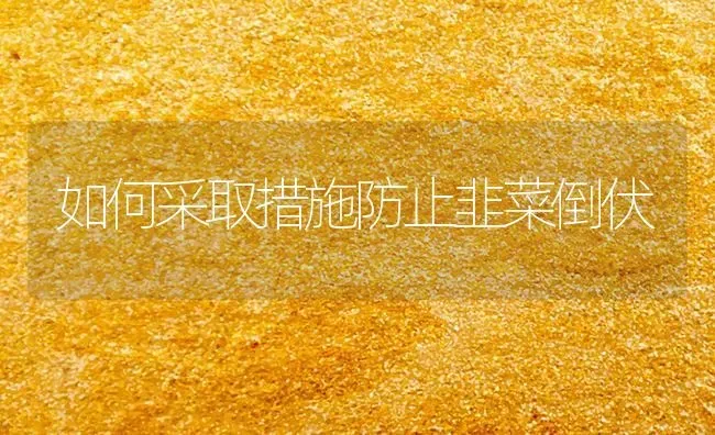 如何采取措施防止韭菜倒伏 | 蔬菜种植