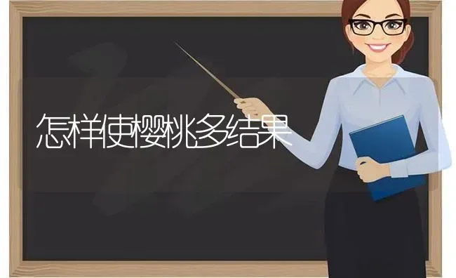 怎样使樱桃多结果 | 瓜果种植