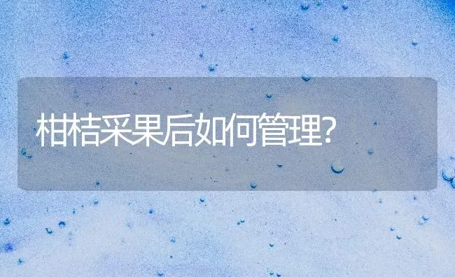 柑桔采果后如何管理？ | 瓜果种植