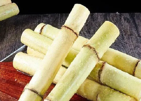 水果科普|甘蔗是什么季节的水果