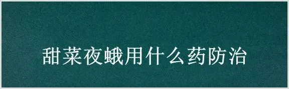甜菜夜蛾用什么药防治 | 农业技术