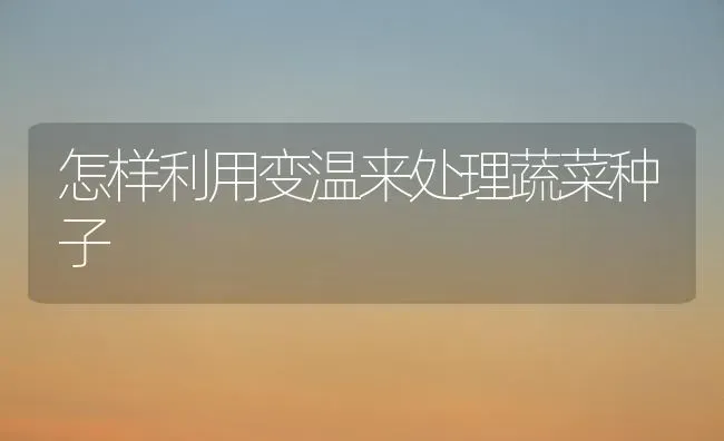 怎样利用变温来处理蔬菜种子 | 蔬菜种植