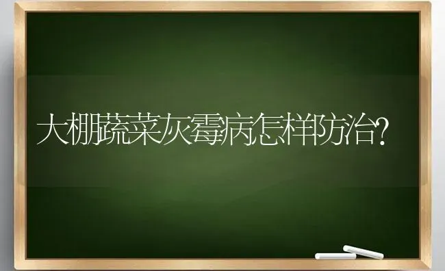 大棚蔬菜灰霉病怎样防治？ | 蔬菜种植