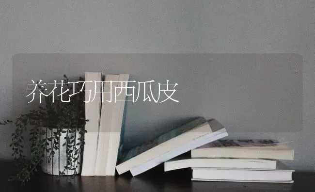 养花巧用西瓜皮 | 瓜果种植