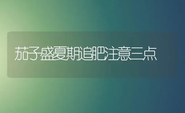 茄子盛夏期追肥注意三点 | 蔬菜种植