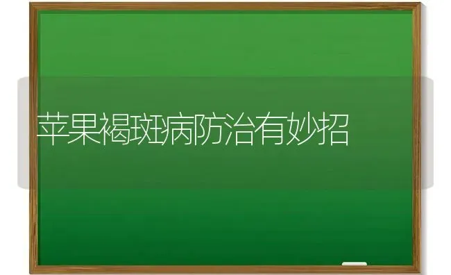 苹果褐斑病防治有妙招 | 瓜果种植