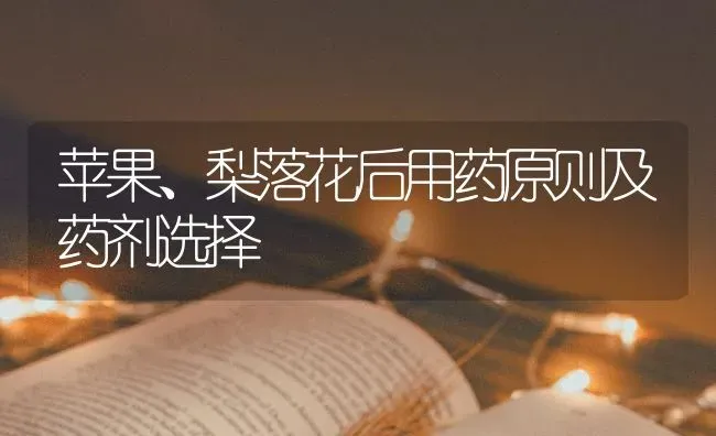 苹果、梨落花后用药原则及药剂选择 | 瓜果种植