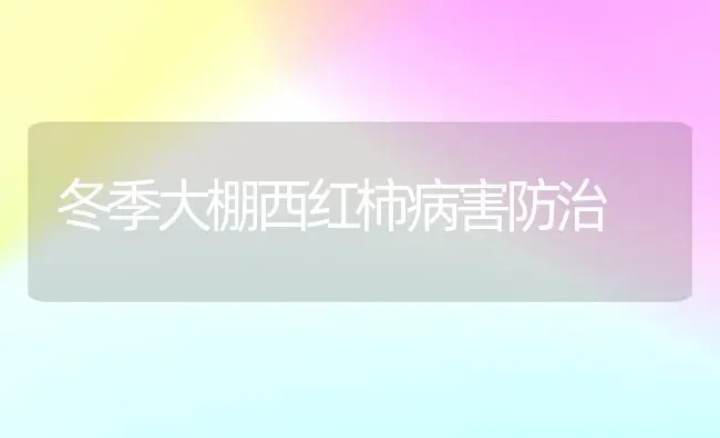 冬季大棚西红柿病害防治 | 蔬菜种植