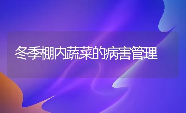 冬季棚内蔬菜的病害管理 | 蔬菜种植