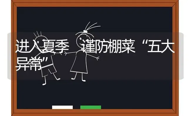 进入夏季 谨防棚菜“五大异常” | 蔬菜种植