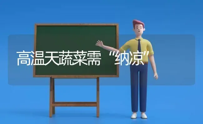 高温天蔬菜需“纳凉” | 蔬菜种植